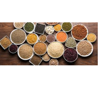 resources of PULSES exporters