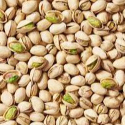resources of Pistachio Nuts exporters