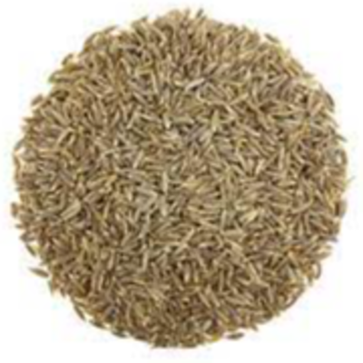 resources of Cumin Seeds exporters