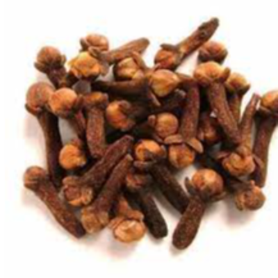 resources of Dried Spices Clove exporters