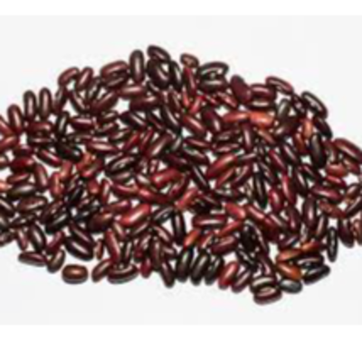 resources of Kidney Beans exporters