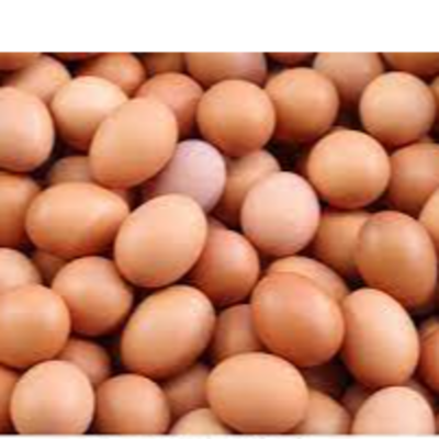 resources of Fresh Brown Eggs exporters