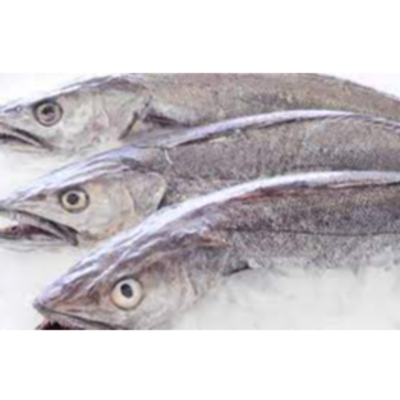 resources of Frozen Hake Fishes exporters
