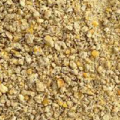 resources of Grain animal feed exporters