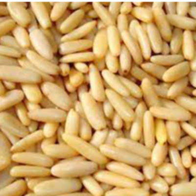 resources of Pine Nuts exporters