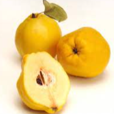 resources of Fresh Quince exporters