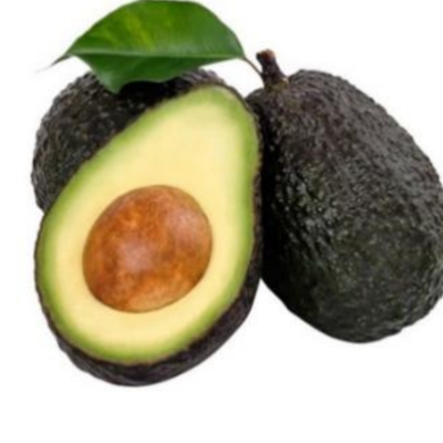 Hass avocado from Colombia Exporters, Wholesaler & Manufacturer | Globaltradeplaza.com