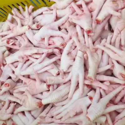 resources of Frozen chicken feet paws in bulk for sale, exporters
