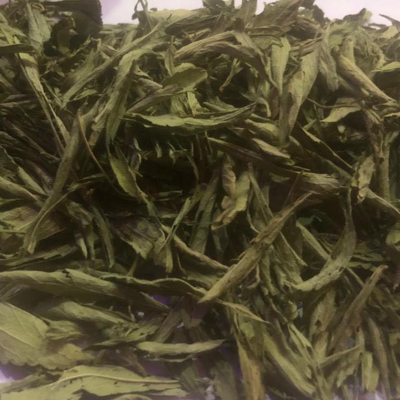 Stevia Dry Leaf Exporters, Wholesaler & Manufacturer | Globaltradeplaza.com