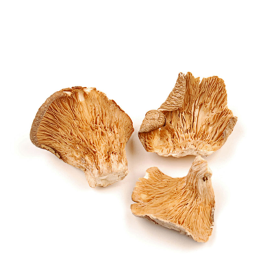 resources of Dried oyster mushroom exporters