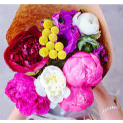 resources of Fresh cut roses and summer flowers exporters