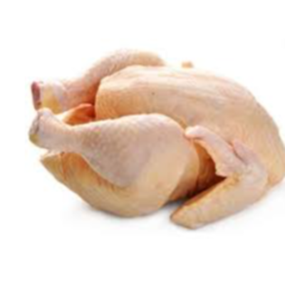 resources of Frozen chicken exporters