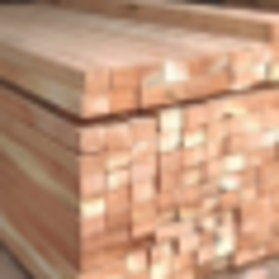 resources of Neem Wood exporters