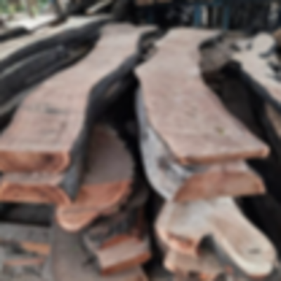 resources of Babylon Wood Thin exporters