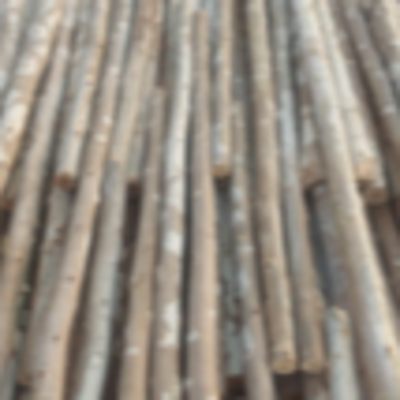 resources of Eucalyptus Brown Teka Nilgiri Wooden Pole exporters