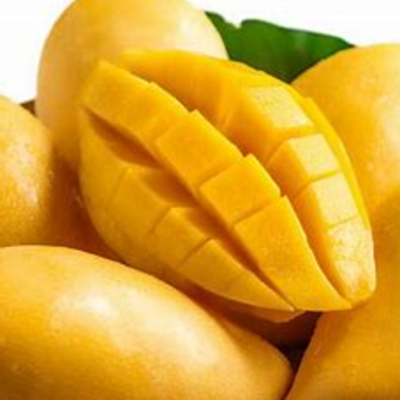resources of MANGOS exporters