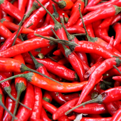 resources of Mixed dried and fresh, grined  Byadgi Chilli With Reasonable Price exporters