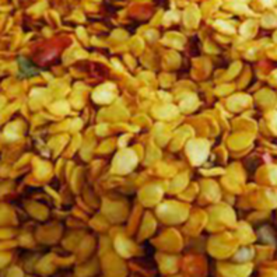 resources of CHILLI SEEDS exporters