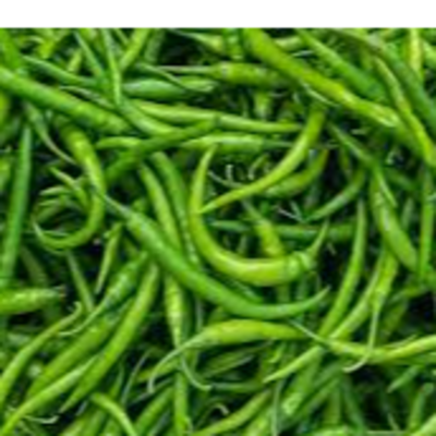 resources of GREEN CHILLI exporters