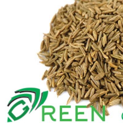 Caraway Seeds Exporters, Wholesaler & Manufacturer | Globaltradeplaza.com