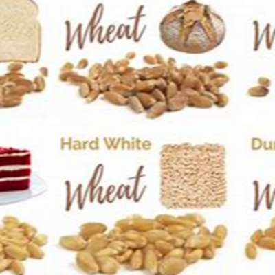 resources of wheat (all classes) exporters