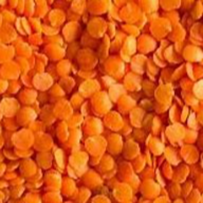 resources of red football lentils exporters