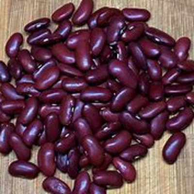 resources of BEANS   red kidney exporters