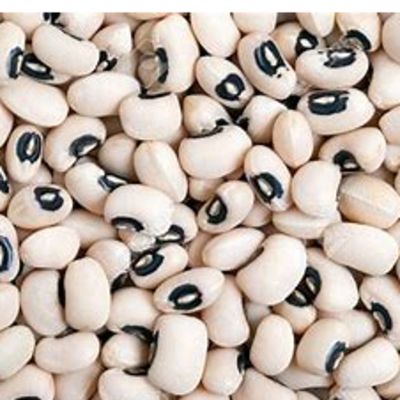 resources of black eyed beans exporters