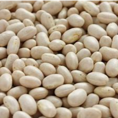 resources of soybeans exporters