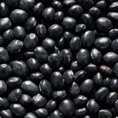 resources of black  beans exporters