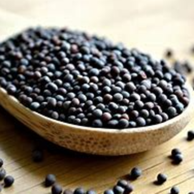 resources of mustard seed exporters