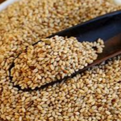 resources of sesame seed exporters