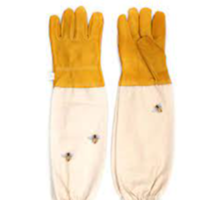 resources of Beekeeper Gloves exporters