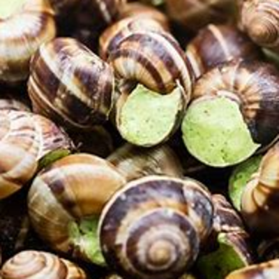 resources of Prepared Snail exporters