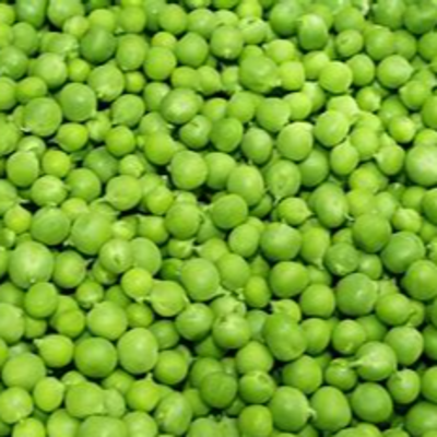 resources of Garden peas exporters
