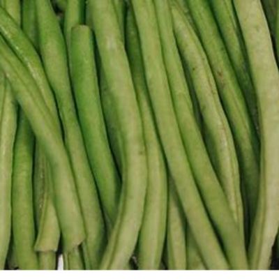 resources of fine beans exporters
