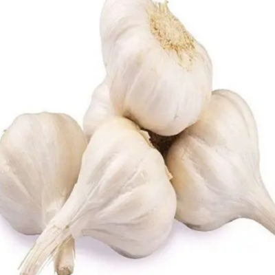 resources of Normal White Fresh Garlic exporters