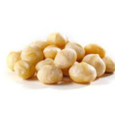 resources of Macadamia Nuts exporters