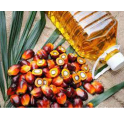 resources of palm oil exporters
