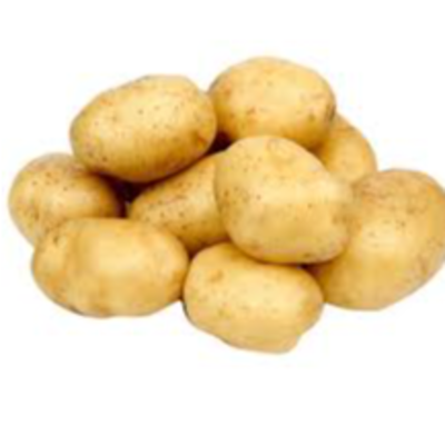 resources of potato exporters