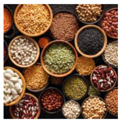 resources of pulses exporters