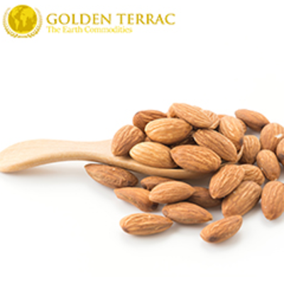 resources of Almond exporters