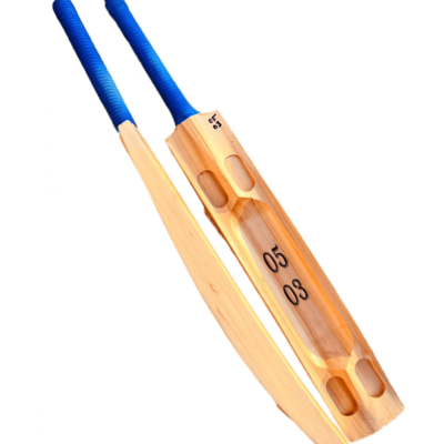 resources of Kshmir willow cricket bat exporters