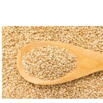 resources of SESAME exporters
