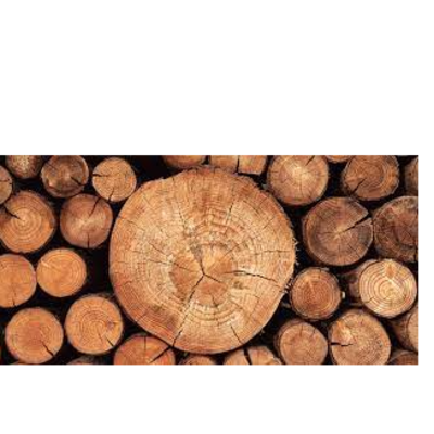 resources of WOOD exporters