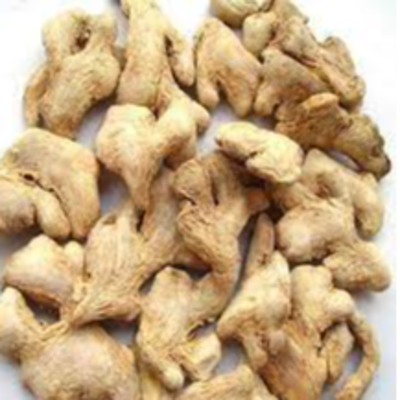 resources of GINGER & DRY GINGER exporters