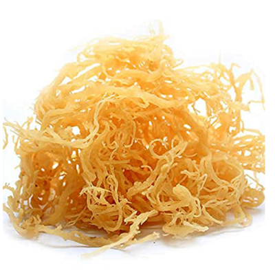 resources of Vietnam 100% Oragnic Natural High Quality Gold Sea Moss/ Irish Moss / Wildcrafted Sun Dried Seamoss Cheap Price exporters