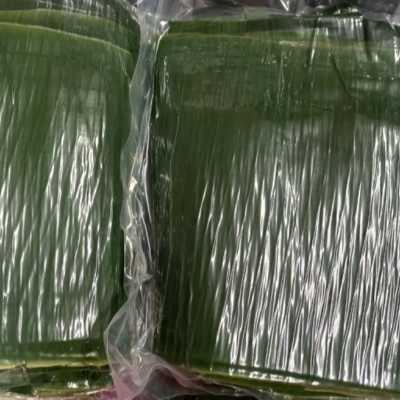 resources of Banana Leaf exporters