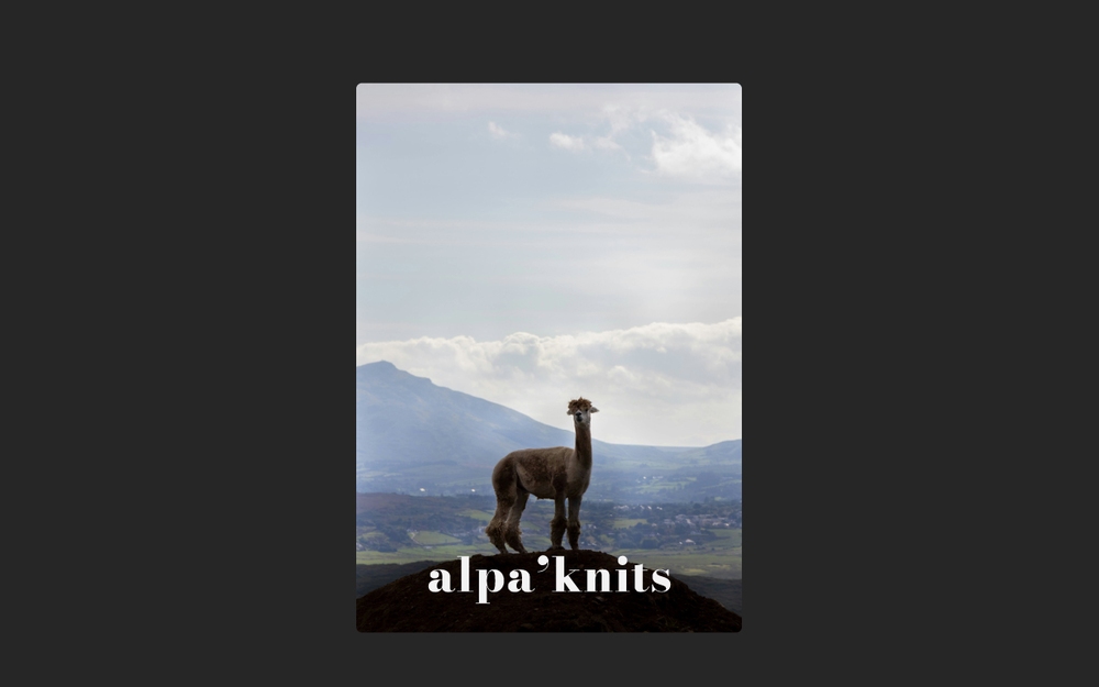 Alpaknits / Room Estudio Creativo