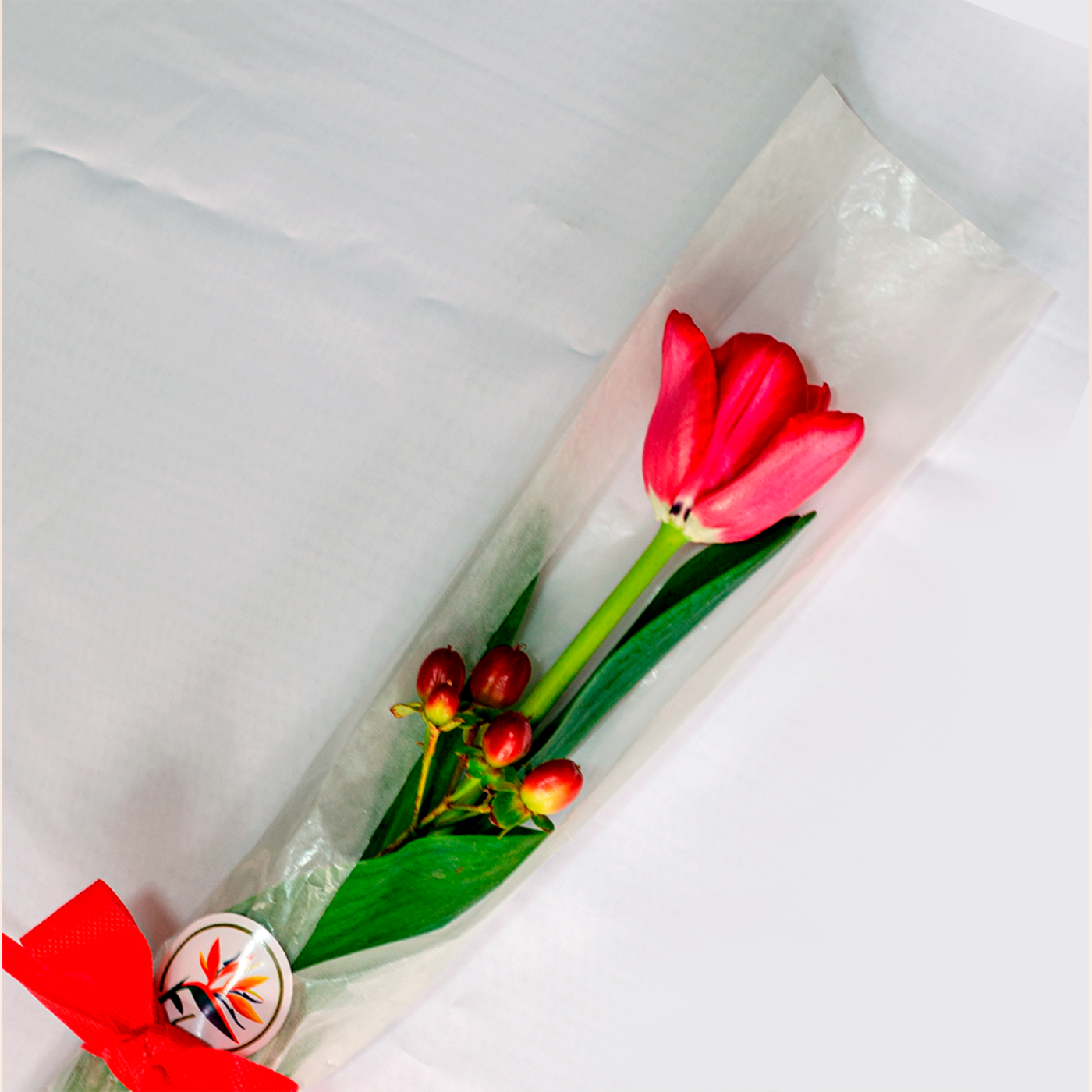 CAJA DE 1 ROSA